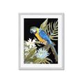 Picture of Parrot Paradise IV _GroupedProduct_Rectangle_Portrait_Framed_Matted_