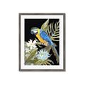 Picture of Parrot Paradise IV _GroupedProduct_Rectangle_Portrait_Framed_Matted_