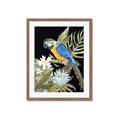 Picture of Parrot Paradise IV _GroupedProduct_Rectangle_Portrait_Framed_Matted_