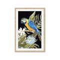 Picture of Parrot Paradise IV _GroupedProduct_Rectangle_Portrait_Framed_Matted_