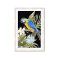 Picture of Parrot Paradise IV _GroupedProduct_Rectangle_Portrait_Framed_Matted_