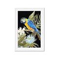 Picture of Parrot Paradise IV _GroupedProduct_Rectangle_Portrait_Framed_Matted_