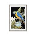 Picture of Parrot Paradise IV _GroupedProduct_Rectangle_Portrait_Framed_Matted_