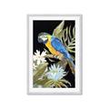 Picture of Parrot Paradise IV _GroupedProduct_Rectangle_Portrait_Framed_Matted_