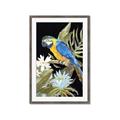 Picture of Parrot Paradise IV _GroupedProduct_Rectangle_Portrait_Framed_Matted_