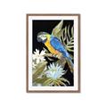 Picture of Parrot Paradise IV _GroupedProduct_Rectangle_Portrait_Framed_Matted_