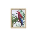 Picture of Red Parrot Paradise I _GroupedProduct_Rectangle_Portrait_Framed_Matted_