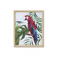 Picture of Red Parrot Paradise I _GroupedProduct_Rectangle_Portrait_Framed_Matted_