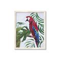 Picture of Red Parrot Paradise I _GroupedProduct_Rectangle_Portrait_Framed_Matted_