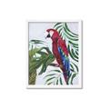Picture of Red Parrot Paradise I _GroupedProduct_Rectangle_Portrait_Framed_Matted_