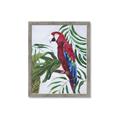 Picture of Red Parrot Paradise I _GroupedProduct_Rectangle_Portrait_Framed_Matted_