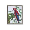 Picture of Red Parrot Paradise I _GroupedProduct_Rectangle_Portrait_Framed_Matted_