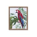 Picture of Red Parrot Paradise I _GroupedProduct_Rectangle_Portrait_Framed_Matted_