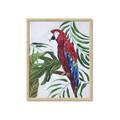 Picture of Red Parrot Paradise I _GroupedProduct_Rectangle_Portrait_Framed_Matted_