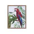 Picture of Red Parrot Paradise I _GroupedProduct_Rectangle_Portrait_Framed_Matted_
