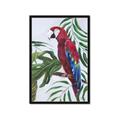 Picture of Red Parrot Paradise I _GroupedProduct_Rectangle_Portrait_Framed_Matted_