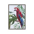 Picture of Red Parrot Paradise I _GroupedProduct_Rectangle_Portrait_Framed_Matted_