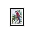 Picture of Red Parrot Paradise I _GroupedProduct_Rectangle_Portrait_Framed_Matted_