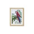 Picture of Red Parrot Paradise I _GroupedProduct_Rectangle_Portrait_Framed_Matted_