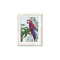 Picture of Red Parrot Paradise I _GroupedProduct_Rectangle_Portrait_Framed_Matted_