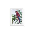 Picture of Red Parrot Paradise I _GroupedProduct_Rectangle_Portrait_Framed_Matted_