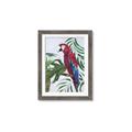 Picture of Red Parrot Paradise I _GroupedProduct_Rectangle_Portrait_Framed_Matted_