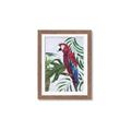 Picture of Red Parrot Paradise I _GroupedProduct_Rectangle_Portrait_Framed_Matted_