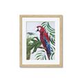 Picture of Red Parrot Paradise I _GroupedProduct_Rectangle_Portrait_Framed_Matted_