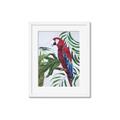 Picture of Red Parrot Paradise I _GroupedProduct_Rectangle_Portrait_Framed_Matted_