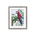 Picture of Red Parrot Paradise I _GroupedProduct_Rectangle_Portrait_Framed_Matted_