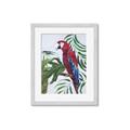 Picture of Red Parrot Paradise I _GroupedProduct_Rectangle_Portrait_Framed_Matted_