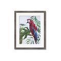 Picture of Red Parrot Paradise I _GroupedProduct_Rectangle_Portrait_Framed_Matted_