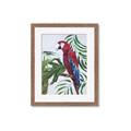 Picture of Red Parrot Paradise I _GroupedProduct_Rectangle_Portrait_Framed_Matted_