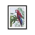 Picture of Red Parrot Paradise I _GroupedProduct_Rectangle_Portrait_Framed_Matted_