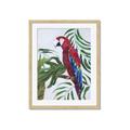 Picture of Red Parrot Paradise I _GroupedProduct_Rectangle_Portrait_Framed_Matted_