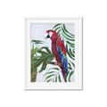 Picture of Red Parrot Paradise I _GroupedProduct_Rectangle_Portrait_Framed_Matted_