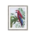 Picture of Red Parrot Paradise I _GroupedProduct_Rectangle_Portrait_Framed_Matted_