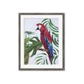 Picture of Red Parrot Paradise I _GroupedProduct_Rectangle_Portrait_Framed_Matted_