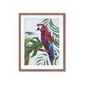 Picture of Red Parrot Paradise I _GroupedProduct_Rectangle_Portrait_Framed_Matted_