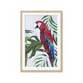 Picture of Red Parrot Paradise I _GroupedProduct_Rectangle_Portrait_Framed_Matted_