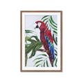 Picture of Red Parrot Paradise I _GroupedProduct_Rectangle_Portrait_Framed_Matted_
