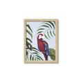 Picture of Red Parrot Paradise II _GroupedProduct_Rectangle_Portrait_Framed_Matted_