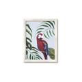 Picture of Red Parrot Paradise II _GroupedProduct_Rectangle_Portrait_Framed_Matted_
