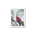 Picture of Red Parrot Paradise II _GroupedProduct_Rectangle_Portrait_Framed_Matted_