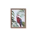 Picture of Red Parrot Paradise II _GroupedProduct_Rectangle_Portrait_Framed_Matted_