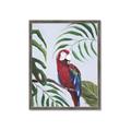 Picture of Red Parrot Paradise II _GroupedProduct_Rectangle_Portrait_Framed_Matted_