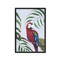 Picture of Red Parrot Paradise II _GroupedProduct_Rectangle_Portrait_Framed_Matted_