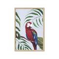 Picture of Red Parrot Paradise II _GroupedProduct_Rectangle_Portrait_Framed_Matted_
