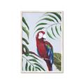 Picture of Red Parrot Paradise II _GroupedProduct_Rectangle_Portrait_Framed_Matted_