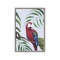 Picture of Red Parrot Paradise II _GroupedProduct_Rectangle_Portrait_Framed_Matted_